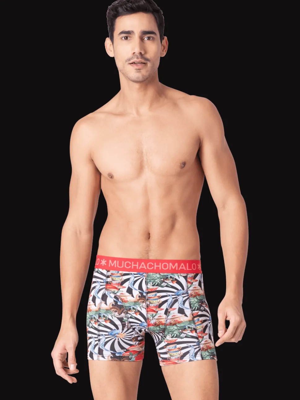 Heren 2-pack Boxershorts Jackbean Alicewonder