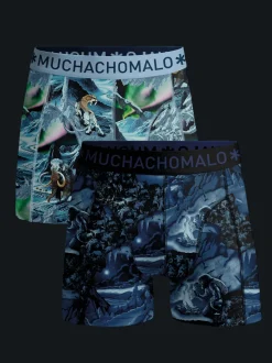 Heren 2-pack Boxershorts Prehistory