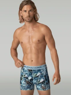 Heren 3-pack Boxershorts Prehistory