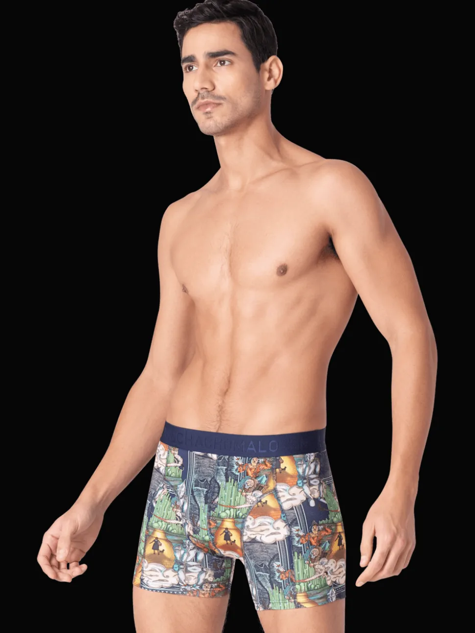 Heren 2-pack Boxershorts Pussboots Wizardoz