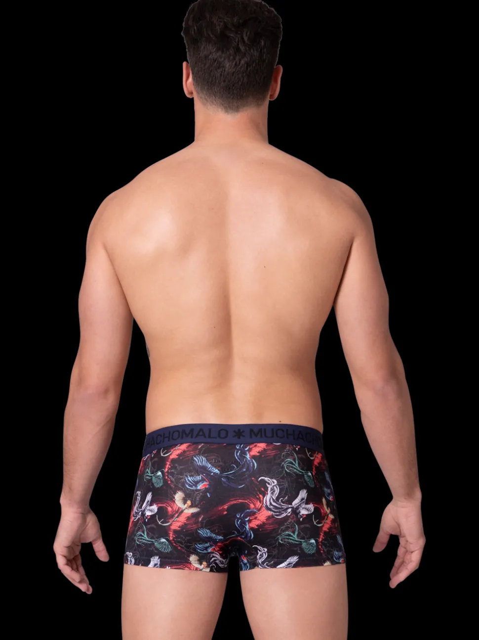 Heren 2-pack Trunks Air Elements