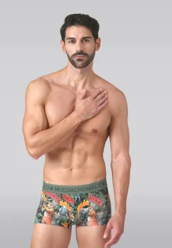 Heren 2-pack Trunks Circus Animals