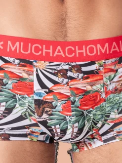 Heren 3-pack Trunks Jackbean Alicewonder