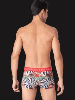 Heren 3-pack Trunks Jackbean Alicewonder