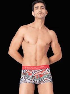 Heren 3-pack Trunks Jackbean Alicewonder