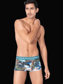 Heren 2-pack Trunks Jackbean Alicewonder