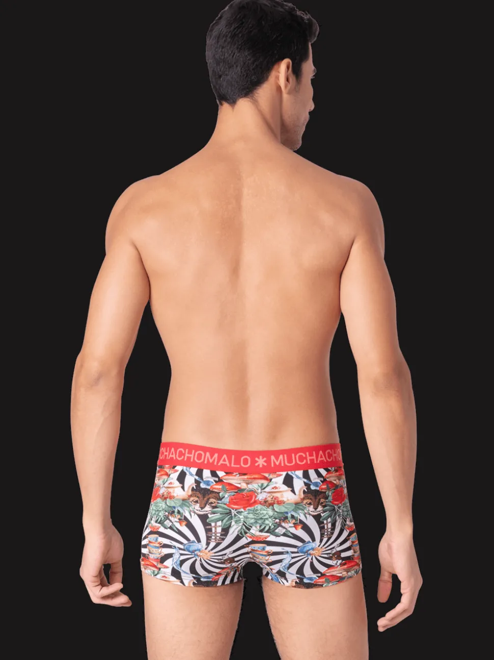 Heren 2-pack Trunks Jackbean Alicewonder