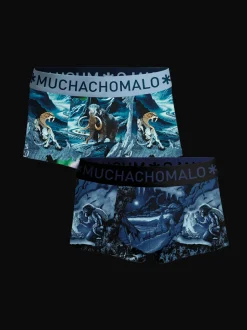 Heren 2-pack Trunks Prehistory