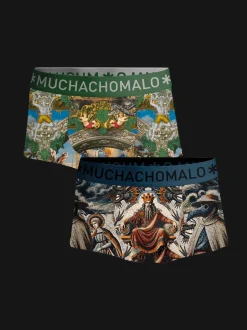 Heren 2-pack Trunks Premodern