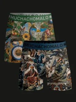 Jongens 2-pack Boxershorts Premodern