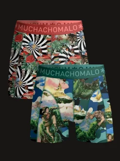 Jongens 2-pack Boxershorts Jackbean Alicewonder